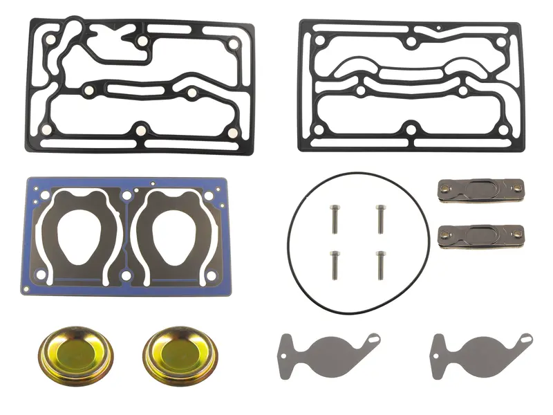 Gasket And Valve Kit For Compressor Gc46 2875 Aas, Gc46 2875 Aa 1
